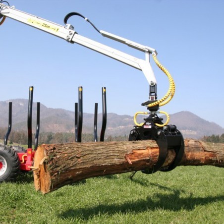 Grappin forestier pour grue forestière