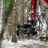 pince à bois JAK