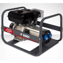Groupe électrogène à essence haut de gamme jusqu'à 3kw FH3001