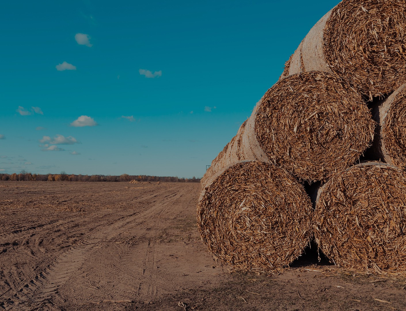 Matériel pour la manutention agricole de balles de foin/ensilage