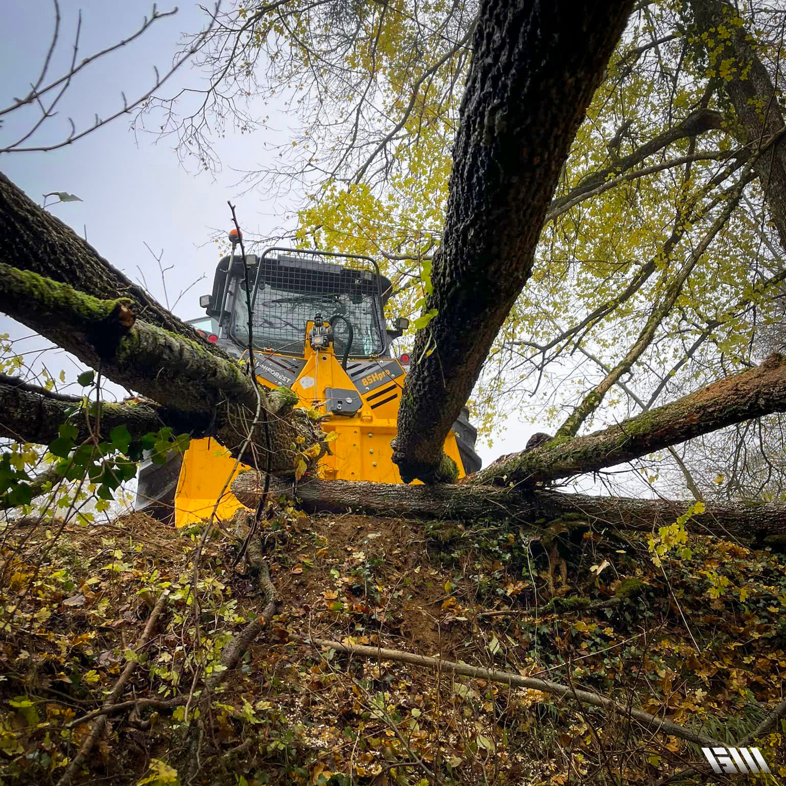 treuil uniforest